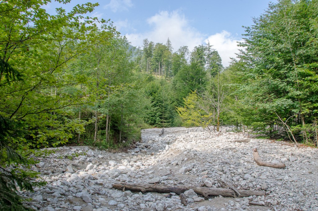 DURCHWACHSENER SOMMER 2013 « huberpower