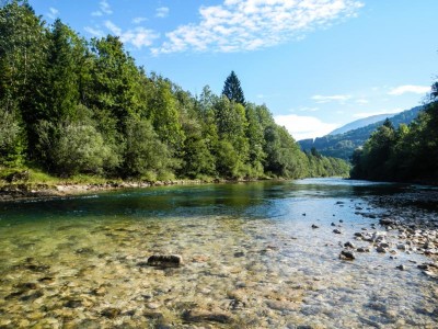 Die Kaiser Traun - der schönste Revierabschnitt Die Kaiser Traun - der schönste Revierabschnitt