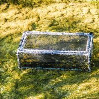 Auch die Lagerboxen für die Fischhalterung haben sich bestens bewährt... Auch die Lagerboxen für die Fischhalterung haben sich bestens bewährt...