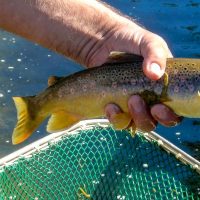 Bestandsaufnahme Sulzbach - Teilstück 1 - 19. August 2012 Bestandsaufnahme Sulzbach - Teilstück 1 - 19. August 2012