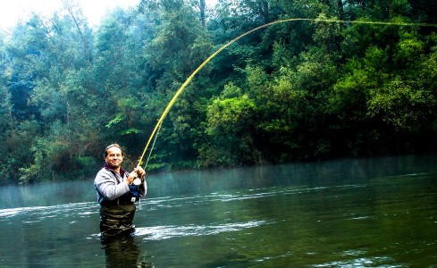 Ups! Das dürfte eine Kapitale sein, so wie die abfährt .... Ups! Das dürfte eine Kapitale sein, so wie die abfährt ....