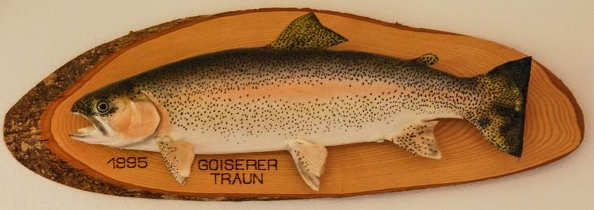 Hier eine meiner Kapitalen Kamloops... Hier eine meiner Kapitalen Kamloops...