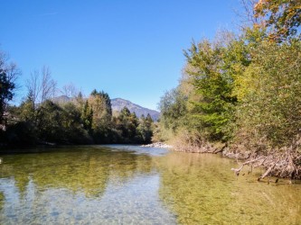 Rechtsufrig steht der Äschennachwuchs! Die großen stehen Mittig bis Linksufrig ... Rechtsufrig steht der Äschennachwuchs! Die großen stehen Mittig bis Linksufrig ...