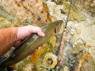 Schöne Herbstäsche zum Kurzen Fotoshooting Schöne Herbstäsche zum Kurzen Fotoshooting